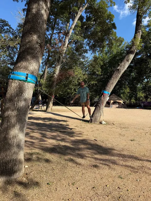A slackline between the oaks