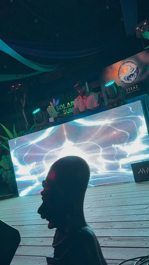 A silhouette against the visuals