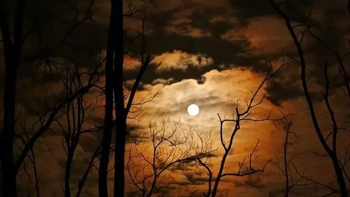 The Mothership Samhain Retreat Immersion — moment 1