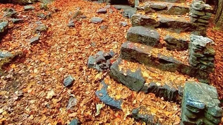The Mothership Samhain Retreat Immersion — moment 8