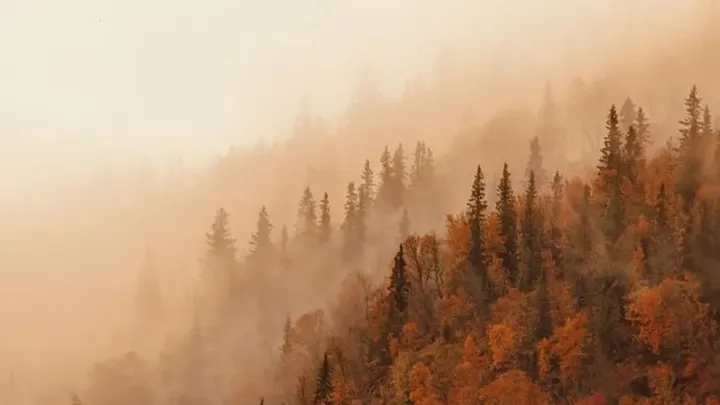 The Mothership Samhain Retreat Immersion — moment 9