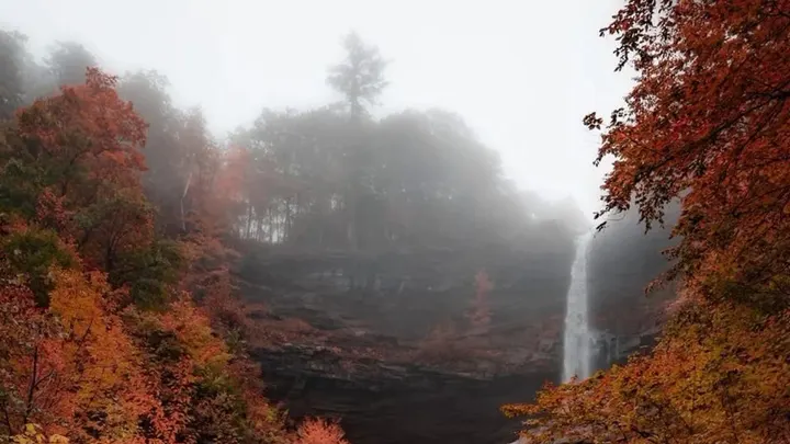 The Mothership Samhain Retreat Immersion — moment 10