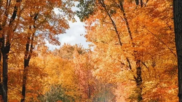 The Mothership Samhain Retreat Immersion — moment 13