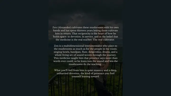 Practicing Presence: A Microdosing Journey — moment 3