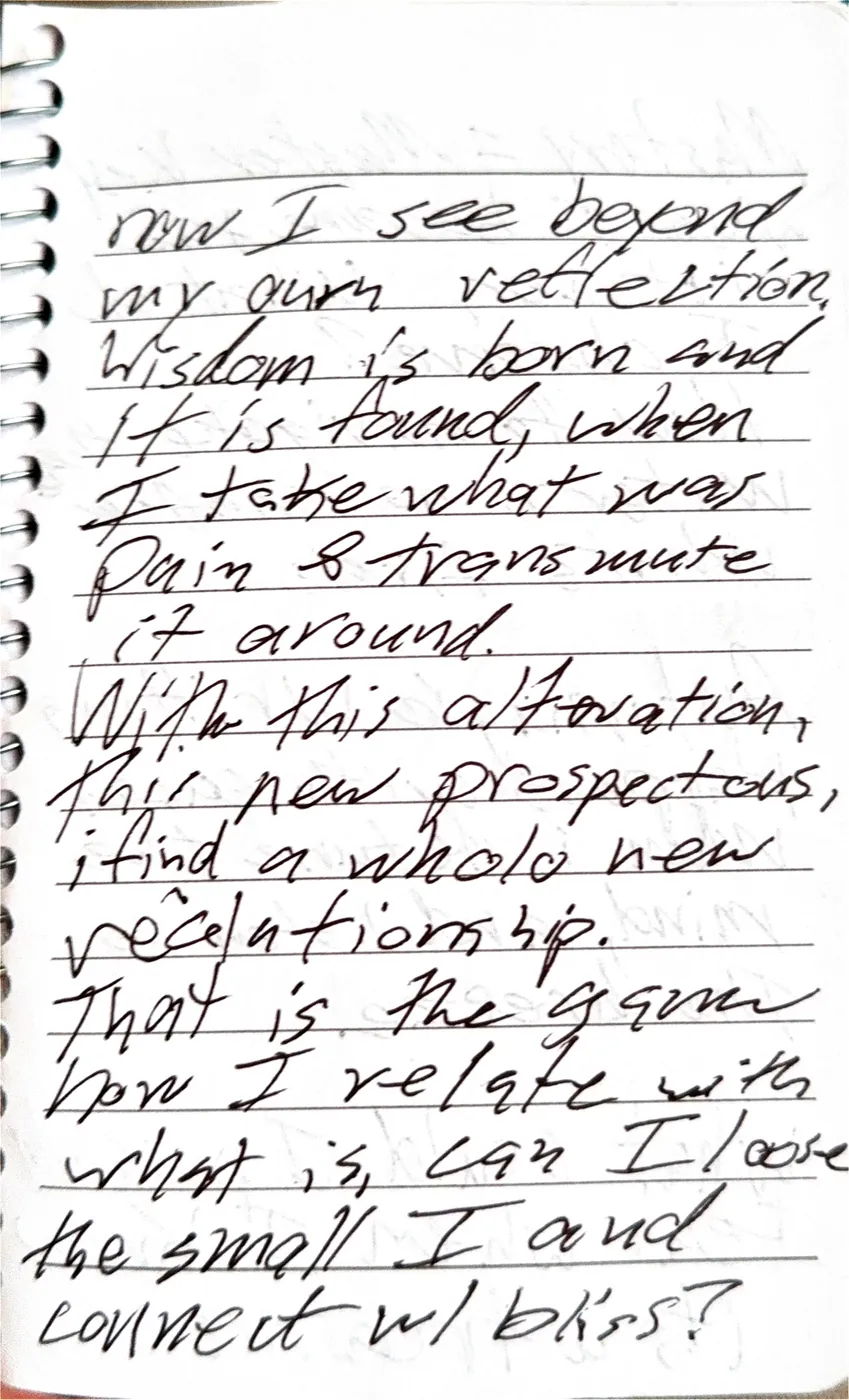 Poem page on transmuting pain into wisdom and a new relationship with what is.