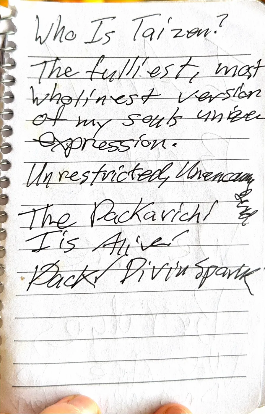 A journal page headed Who Is Taizen? describing the fullest, most whole version of his soul's unique expression, unrestricted and alive, a divine spark.