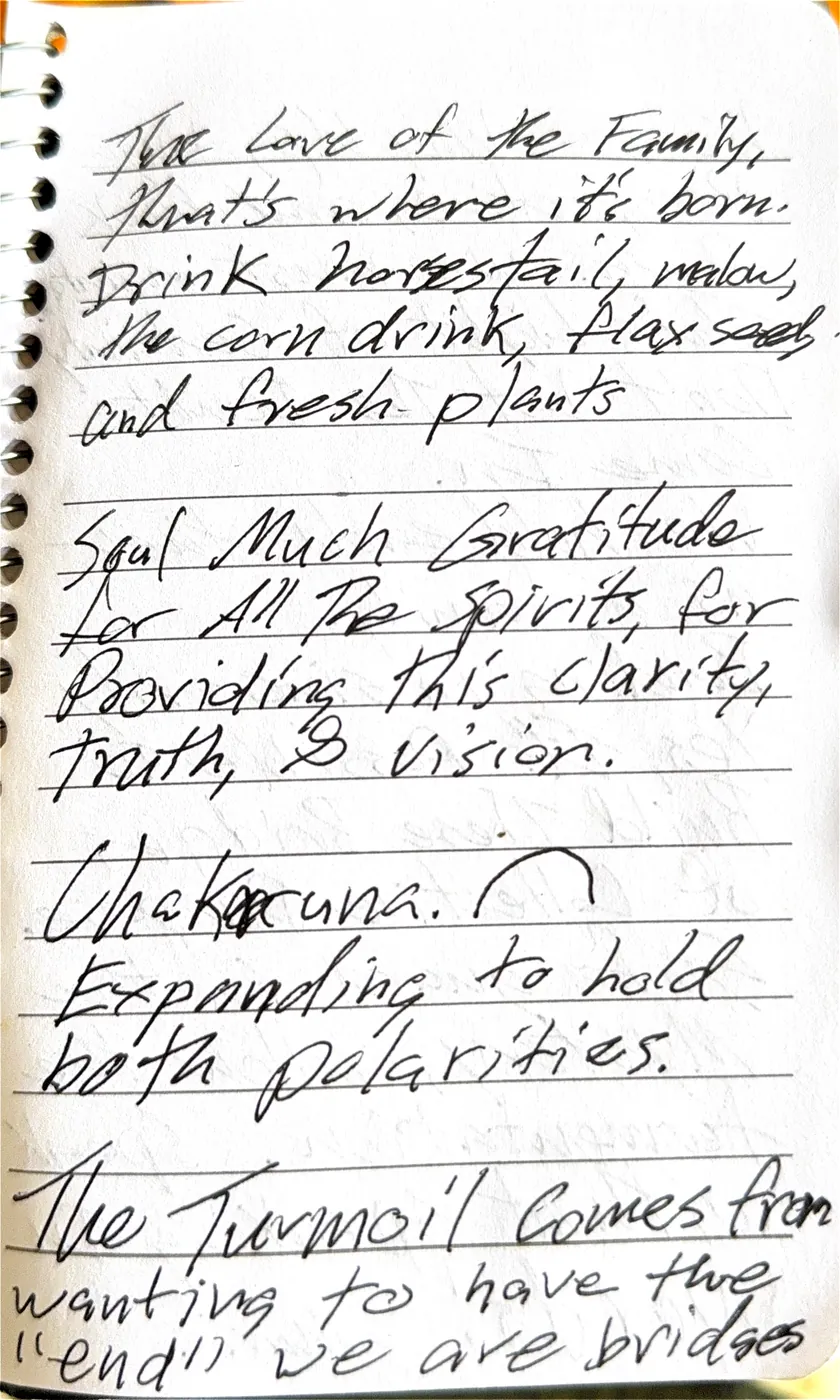 A journal page on the love of the family, gratitude to the spirits for clarity, truth and vision, and the Chakaruna expanding to hold both polarities, with a small bridge arch drawn beside the word.