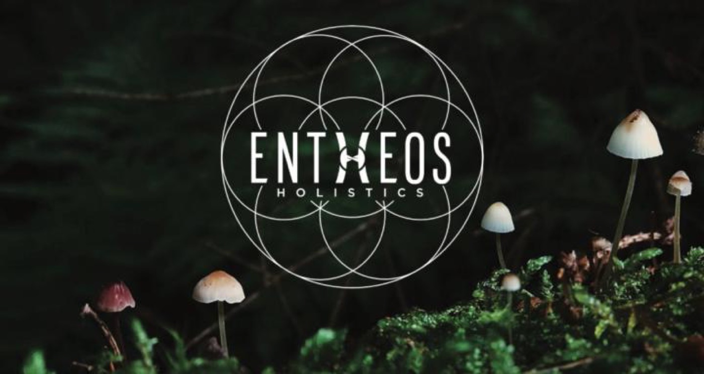 Entheos Holistics — Cohort-based spiritual wellness, held in sacred community.